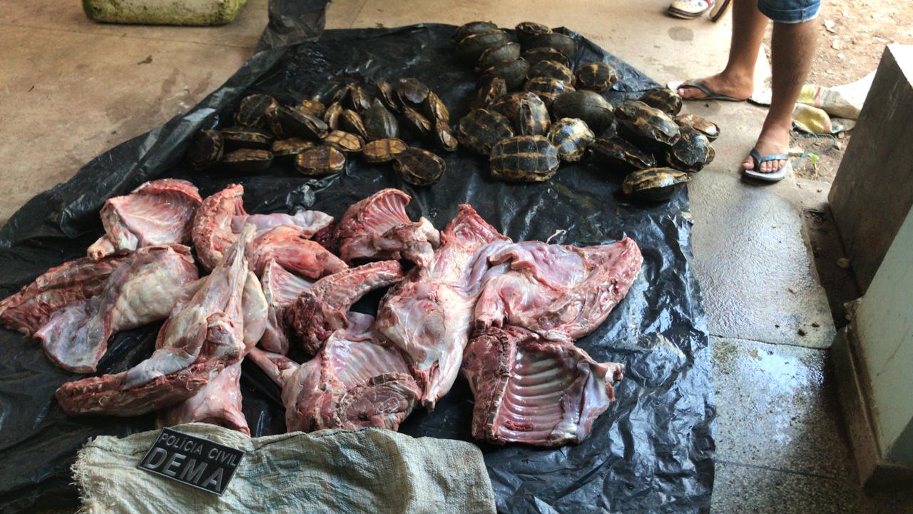 DEMA apreende 42 quelônios e 54kg de carne de capivara